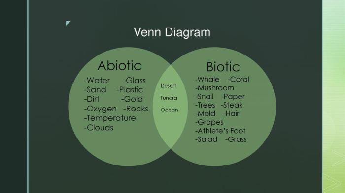 Are clouds biotic or abiotic