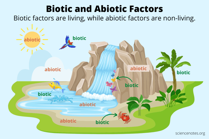 Biotic abiotic factors describing 3b following ph