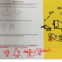 Similar figures homework answer key