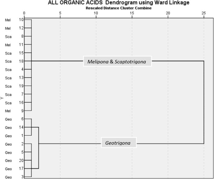 Chapter 14 the behavior of gases answer key