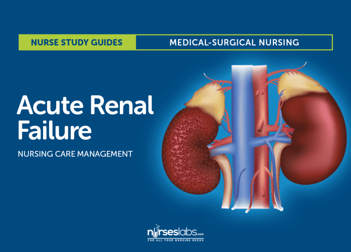 Nclex questions acute kidney injury