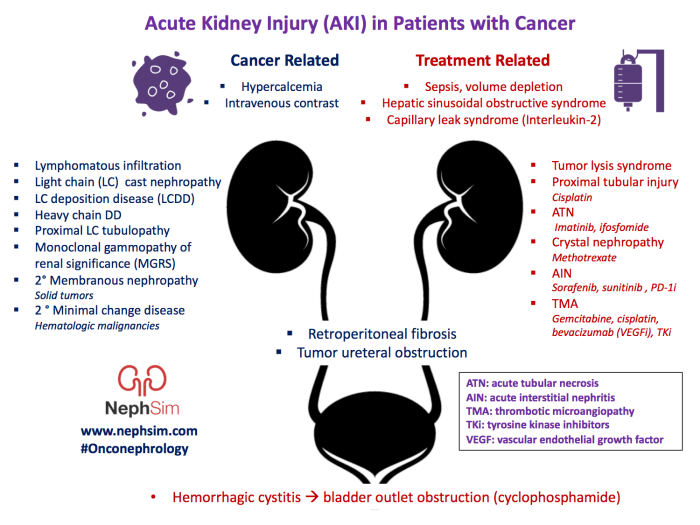 Nclex questions acute kidney injury