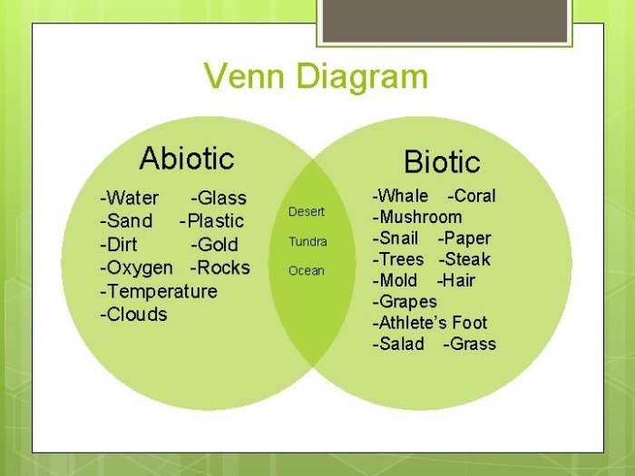 Biotic abiotic worksheet