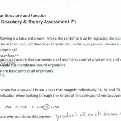 Chapter 8 lesson 1 life is cellular answer key