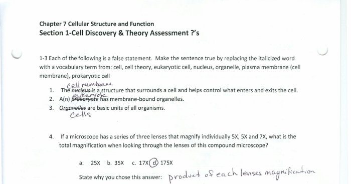 Chapter 8 lesson 1 life is cellular answer key