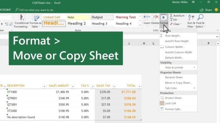 Copy the sample kitchen budget worksheet to the current workbook