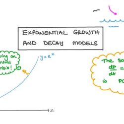 Exponential growth and decay digital escape answer key